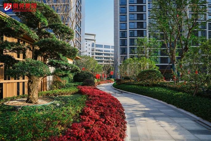 太阳成集团tyc151cc(中国)股份有限公司